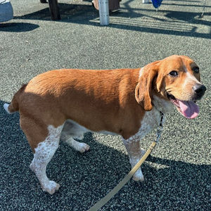 Meet your Posher, Lori